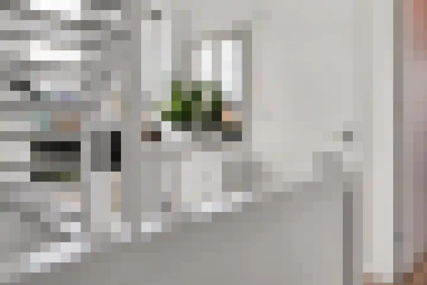 Zonzicht 9 Assendelft thumbnail 36