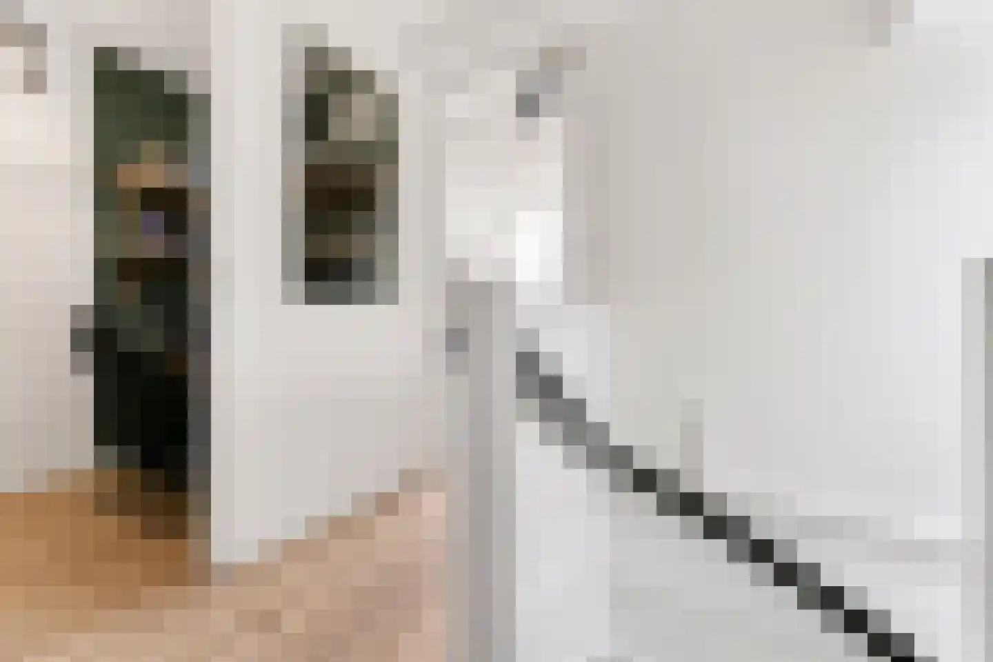 Zonzicht 9 Assendelft thumbnail 37
