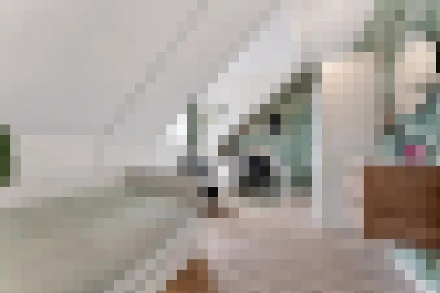 Zonzicht 9 Assendelft thumbnail 38