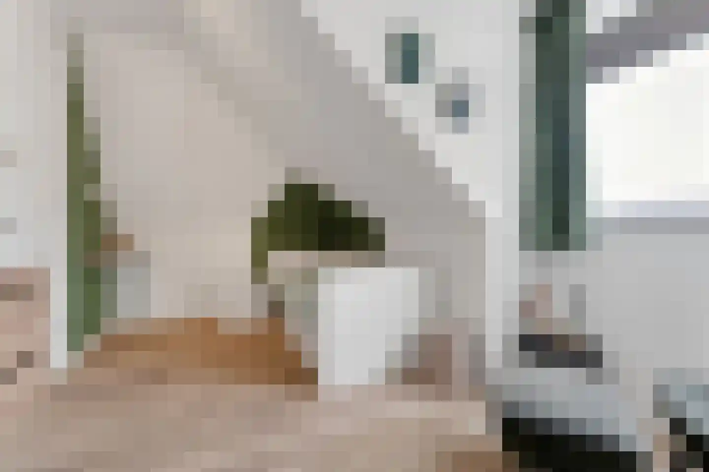 Zonzicht 9 Assendelft thumbnail 39