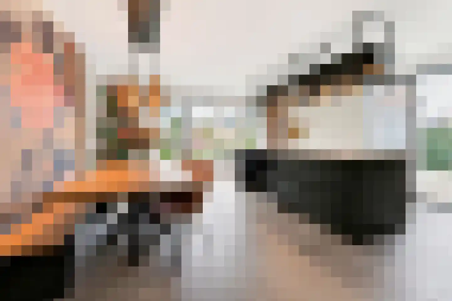 Zonzicht 9 Assendelft thumbnail 4