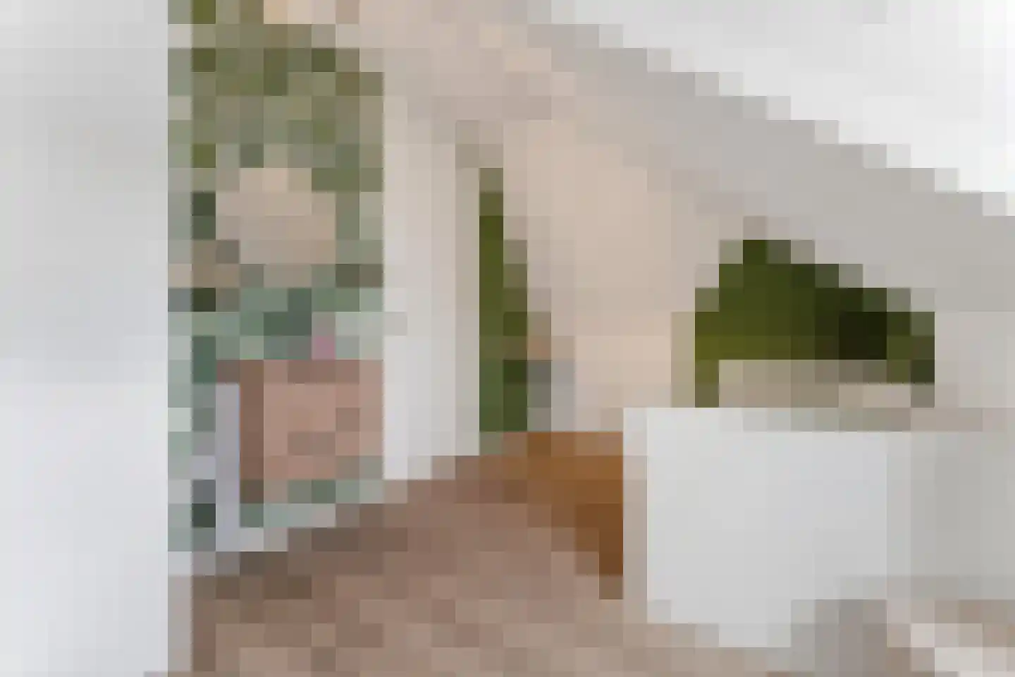 Zonzicht 9 Assendelft thumbnail 40