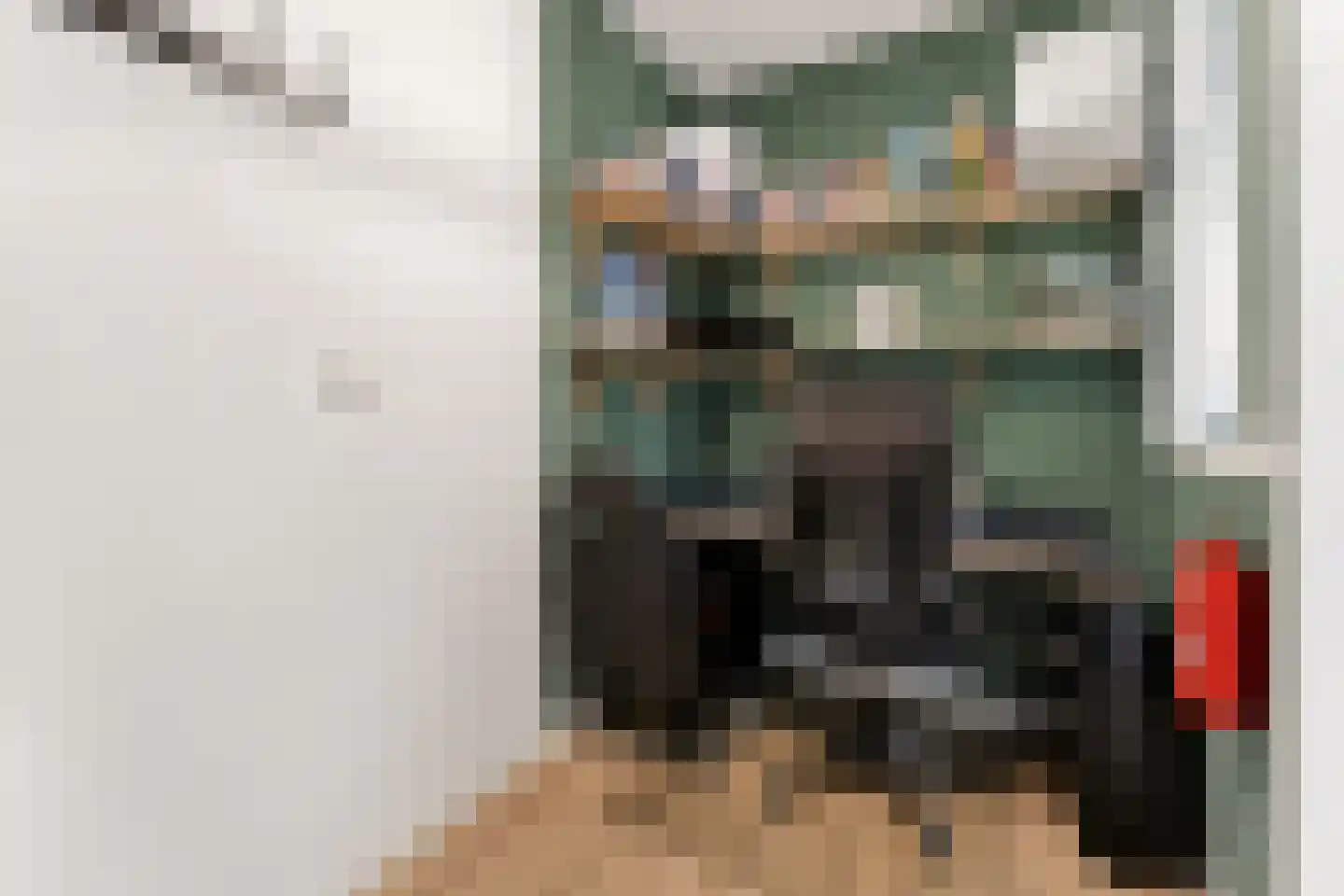 Zonzicht 9 Assendelft thumbnail 43