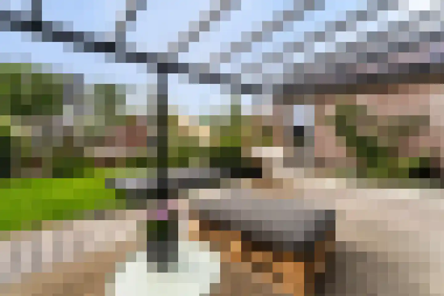Zonzicht 9 Assendelft thumbnail 45