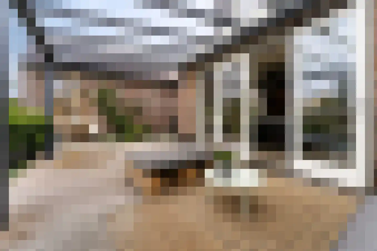 Zonzicht 9 Assendelft thumbnail 46