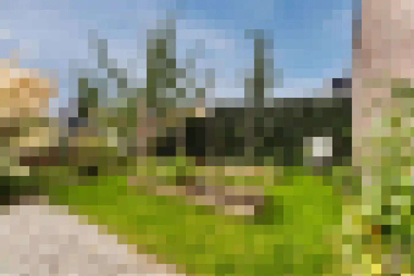 Zonzicht 9 Assendelft thumbnail 47