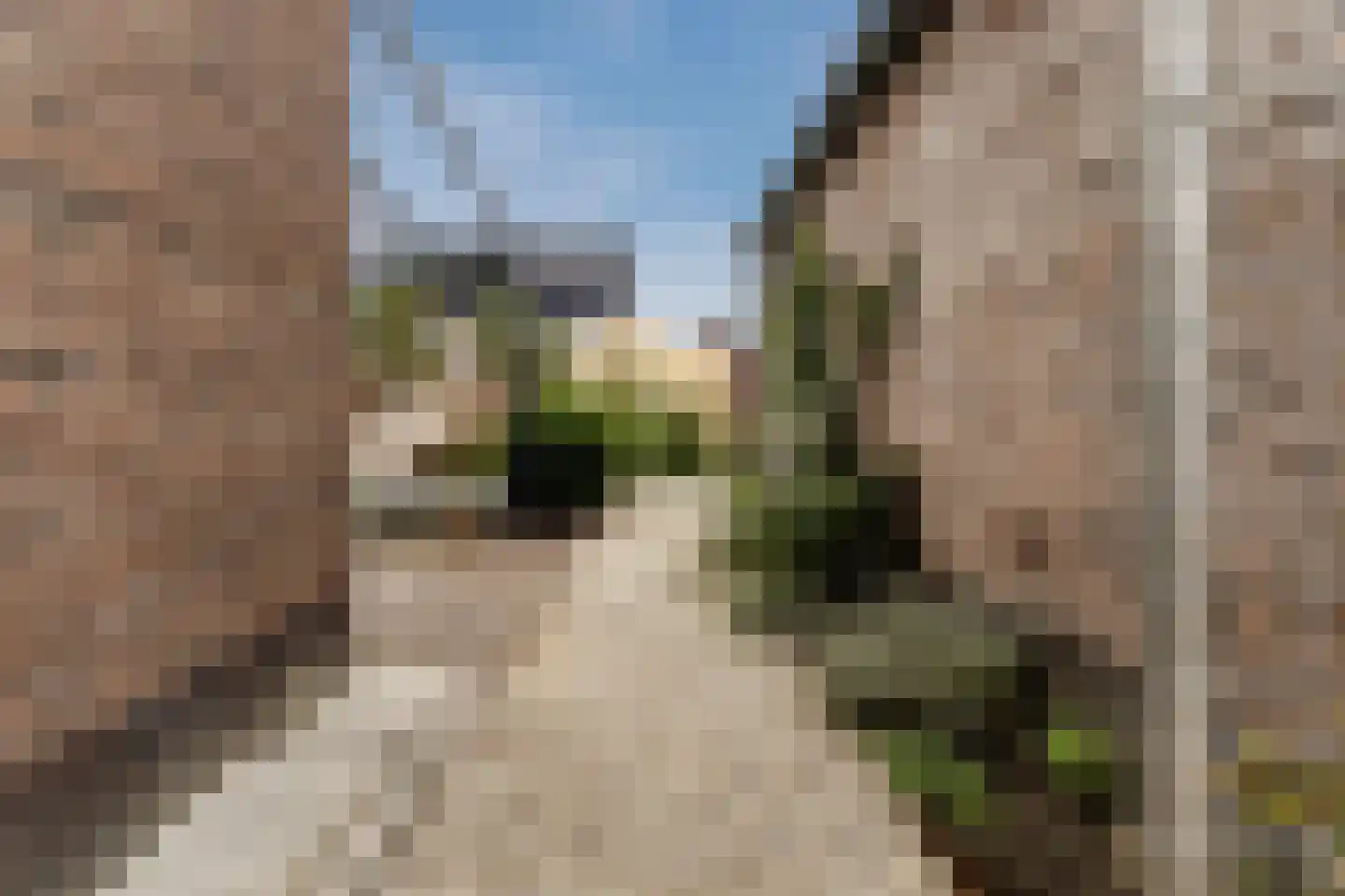 Zonzicht 9 Assendelft thumbnail 48