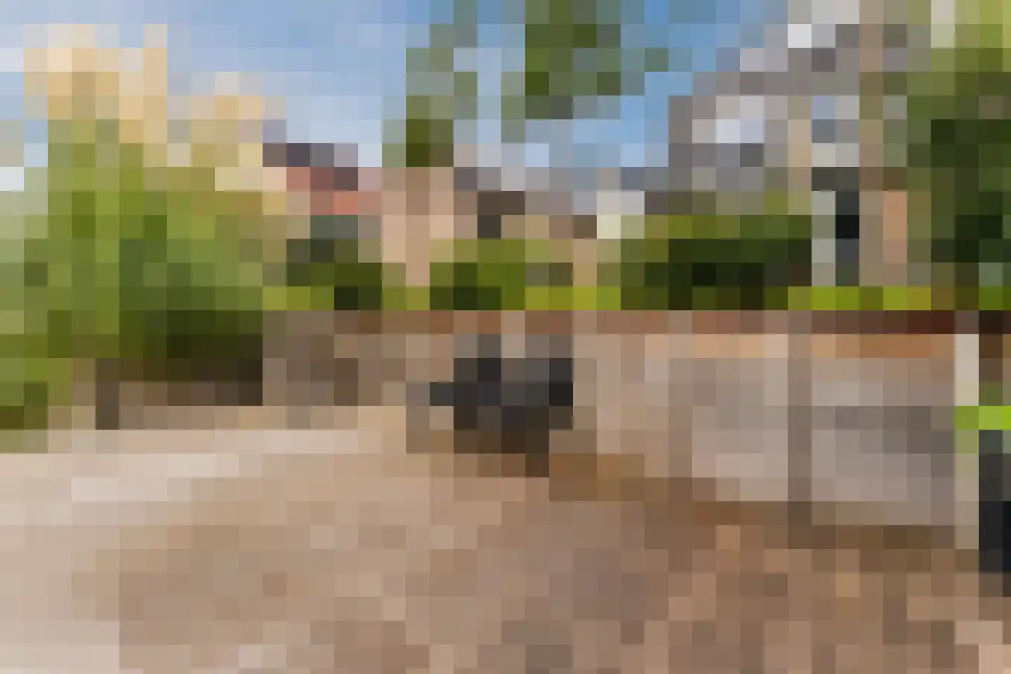 Zonzicht 9 Assendelft thumbnail 50