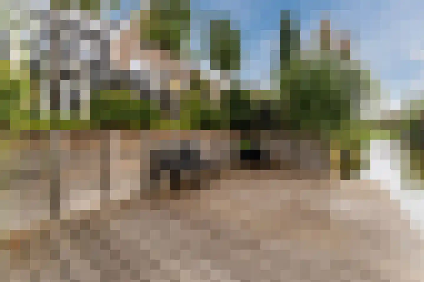 Zonzicht 9 Assendelft thumbnail 52