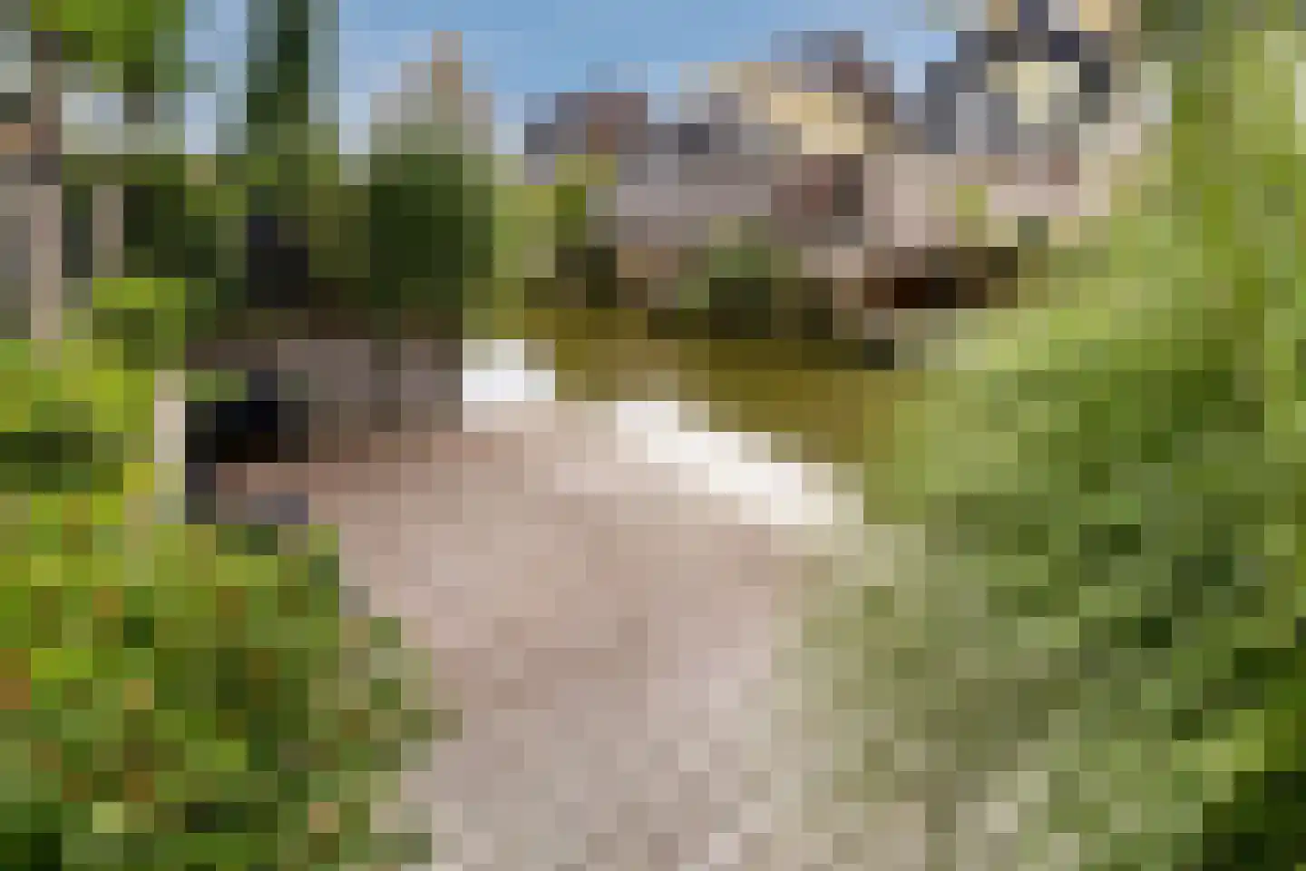 Zonzicht 9 Assendelft thumbnail 53