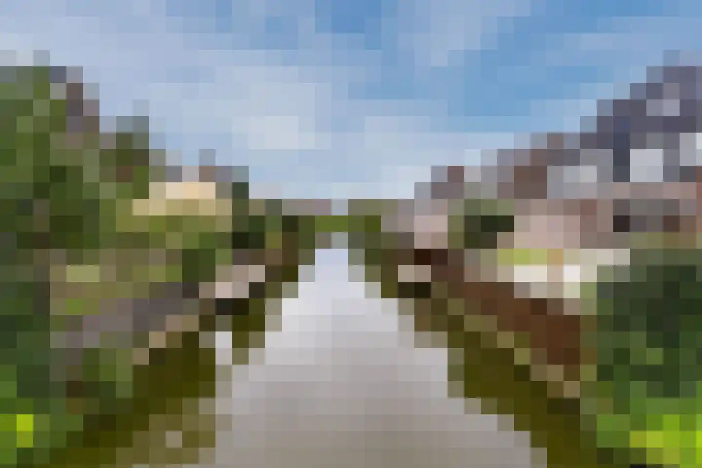 Zonzicht 9 Assendelft thumbnail 55