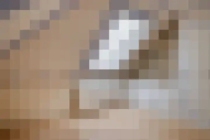 Zonzijde 19 De Meern thumbnail 17