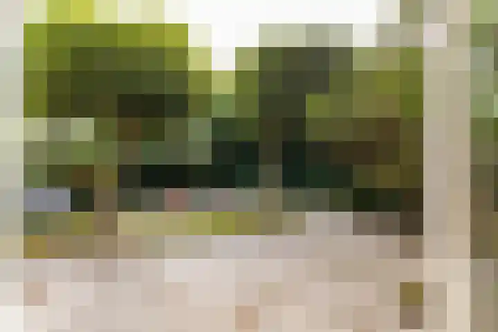 Zonzijde 19 De Meern thumbnail 22
