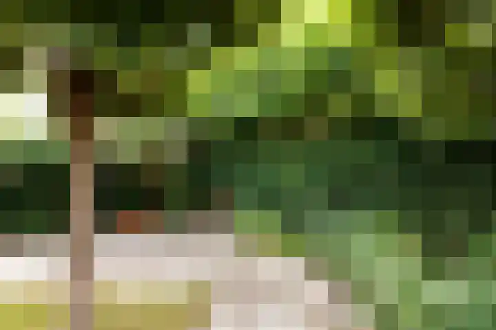Zonzijde 19 De Meern thumbnail 23