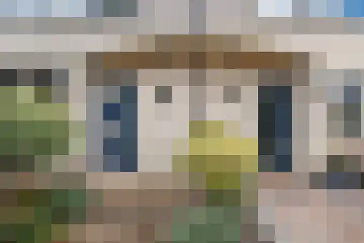 Zonzijde 19 De Meern thumbnail 24