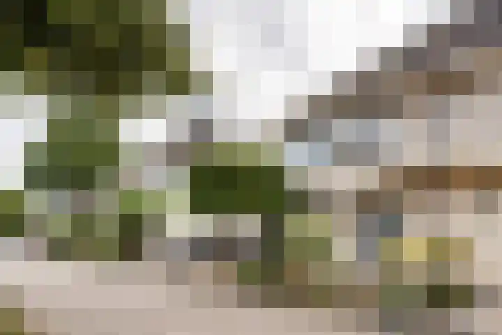 Zonzijde 19 De Meern thumbnail 25