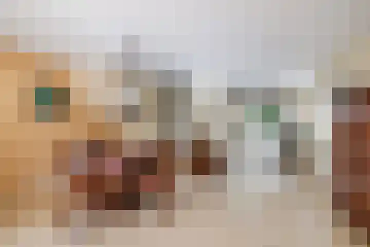 Zonzijde 19 De Meern thumbnail 7