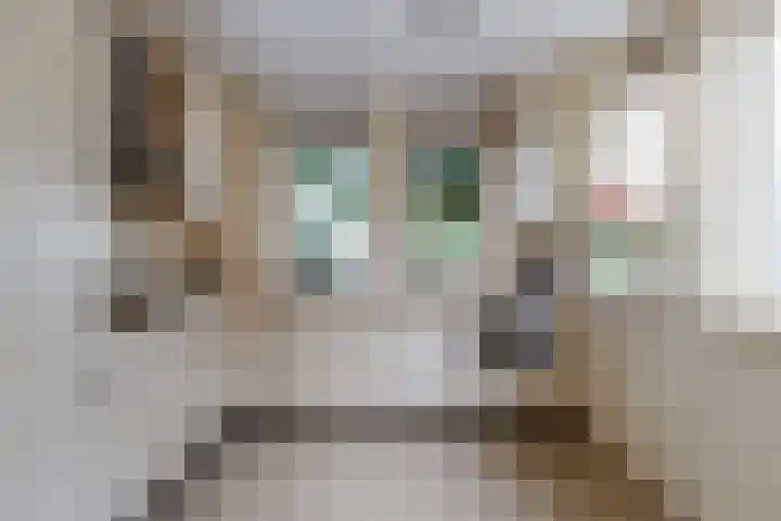 Zonzijde 19 De Meern thumbnail 8