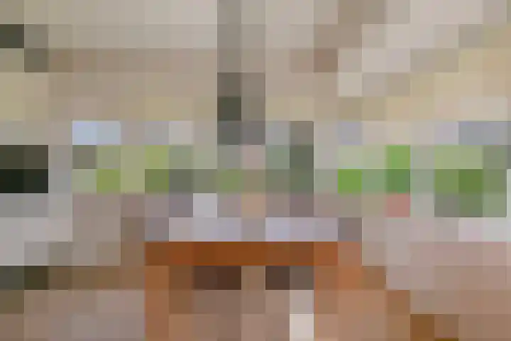 Zonzijde 2 De Meern thumbnail 12