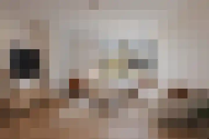 Zonzijde 2 De Meern thumbnail 16