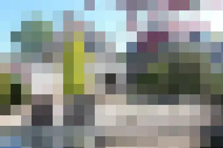 Zonzijde 2 De Meern foto 2