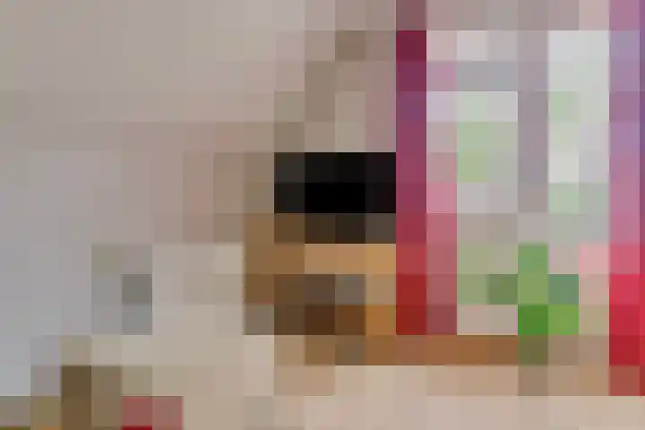 Zonzijde 2 De Meern thumbnail 25