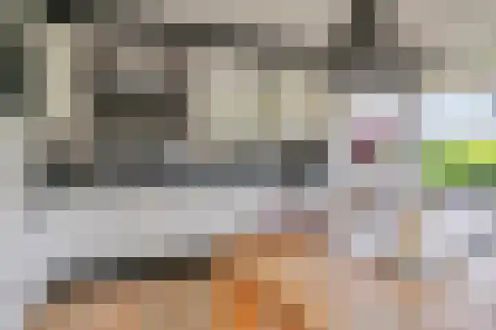 Zonzijde 2 De Meern foto 3