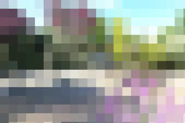 Zonzijde 2 De Meern thumbnail 31