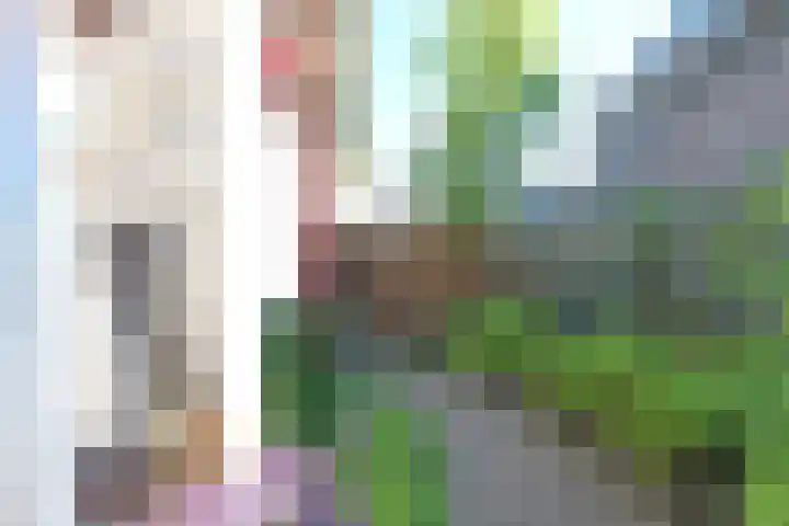 Zonzijde 2 De Meern thumbnail 35