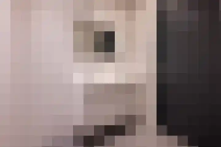Zonzijde 2 De Meern thumbnail 43