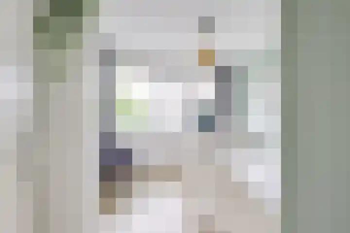 Zonzijde 2 De Meern thumbnail 45