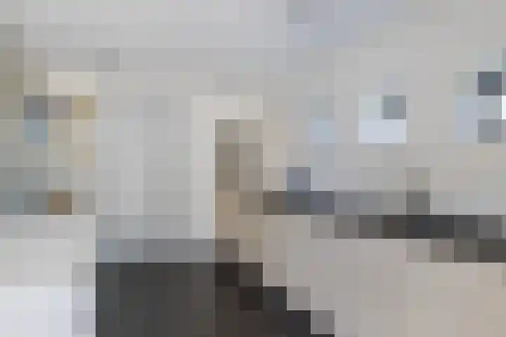 Zonzijde 20 De Meern thumbnail 11