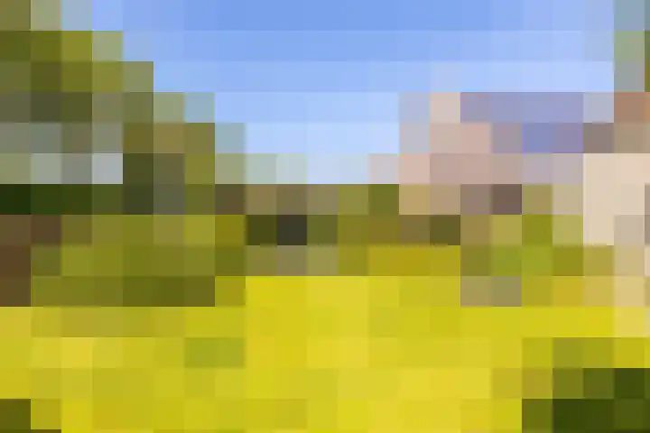 Zonzijde 20 De Meern thumbnail 27
