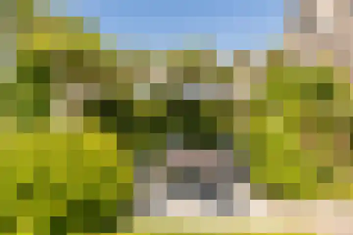 Zonzijde 20 De Meern thumbnail 29