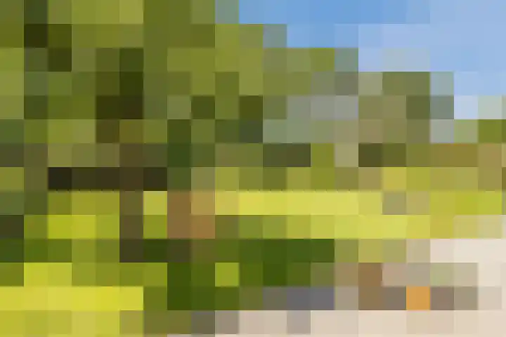 Zonzijde 20 De Meern foto 3
