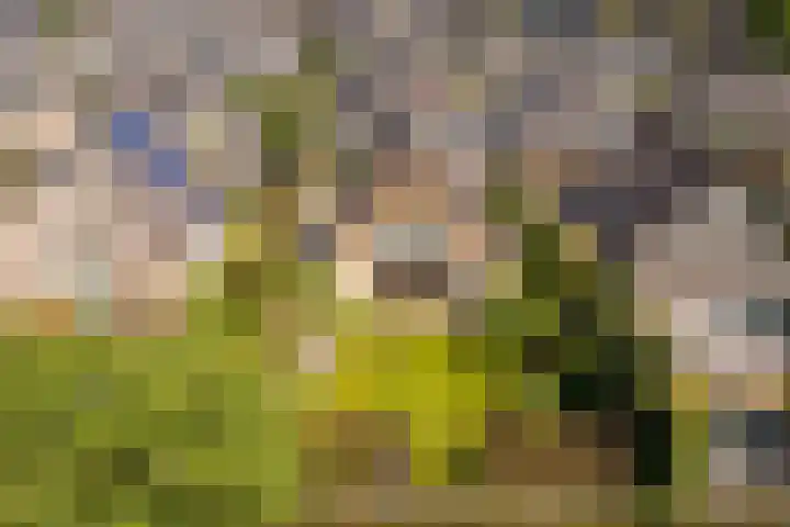 Zonzijde 20 De Meern thumbnail 35