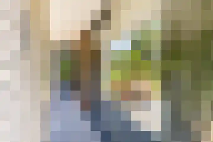 Zonzijde 20 De Meern thumbnail 38