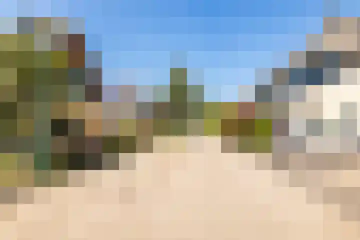 Zonzijde 20 De Meern thumbnail 78