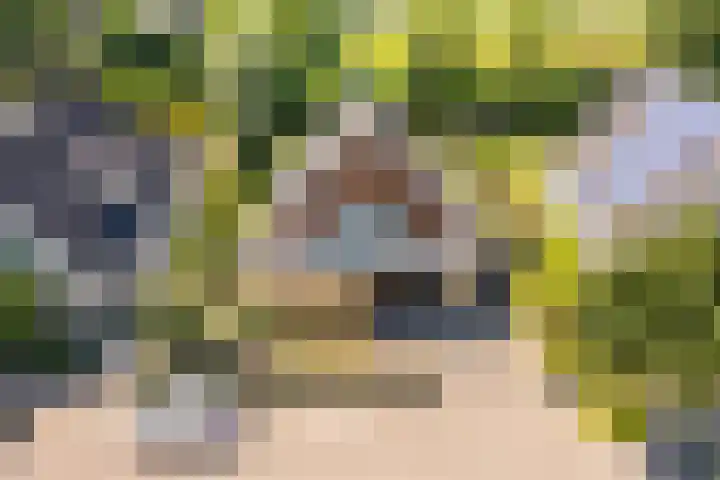 Zonzijde 20 De Meern thumbnail 80