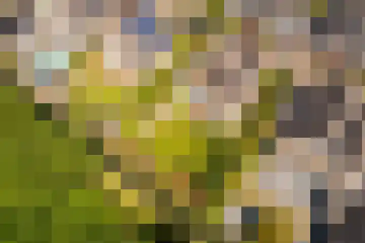 Zonzijde 20 De Meern thumbnail 82