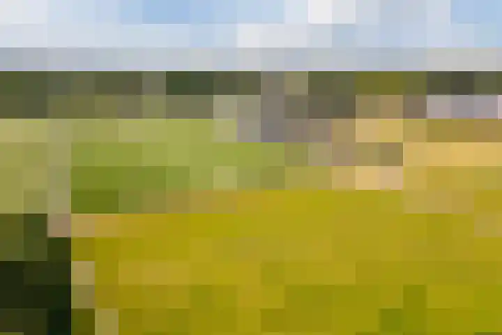 Zonzijde 20 De Meern thumbnail 83