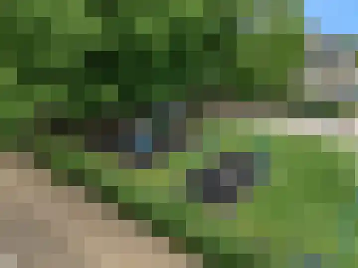 Zonzijde 27 De Meern thumbnail 25