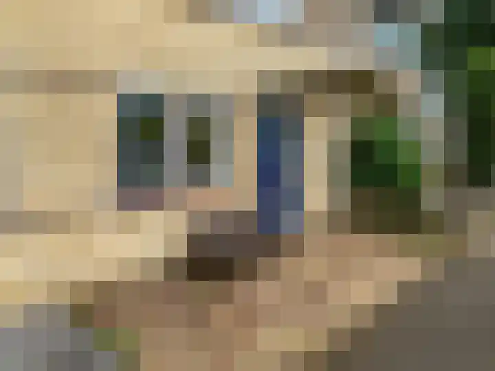 Zonzijde 27 De Meern foto 3