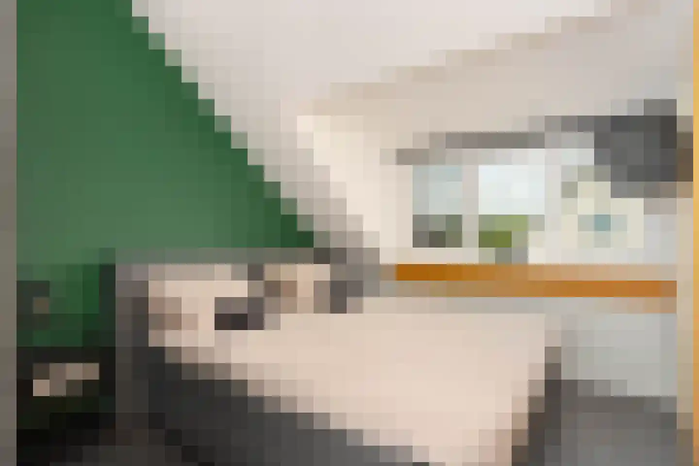 Zonzijde 33 De Meern thumbnail 21