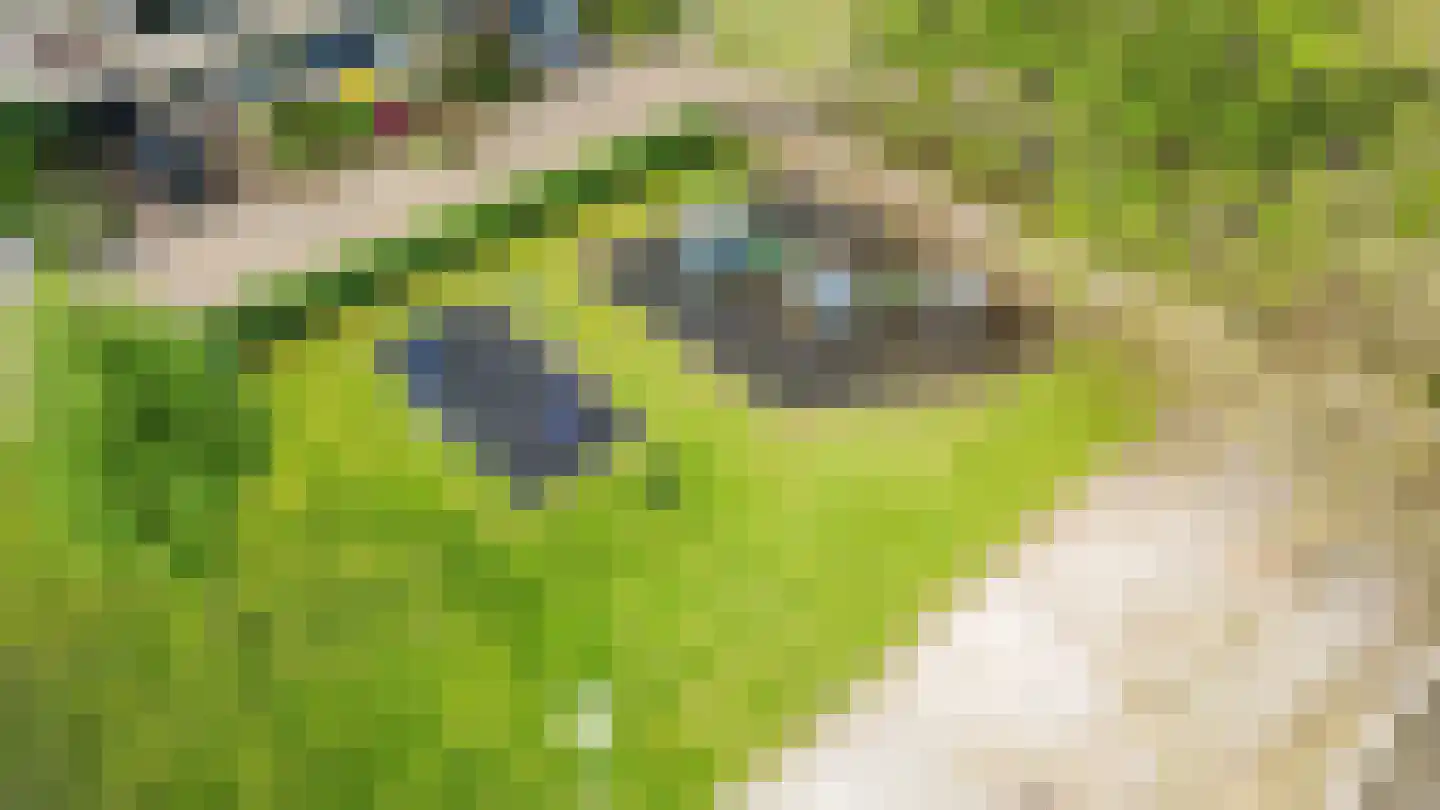 Zonzijde 33 De Meern thumbnail 37