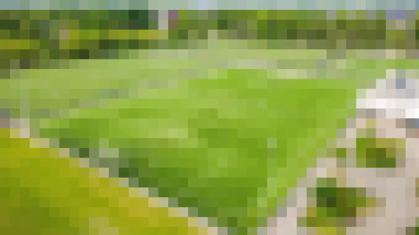 Zonzijde 33 De Meern thumbnail 39