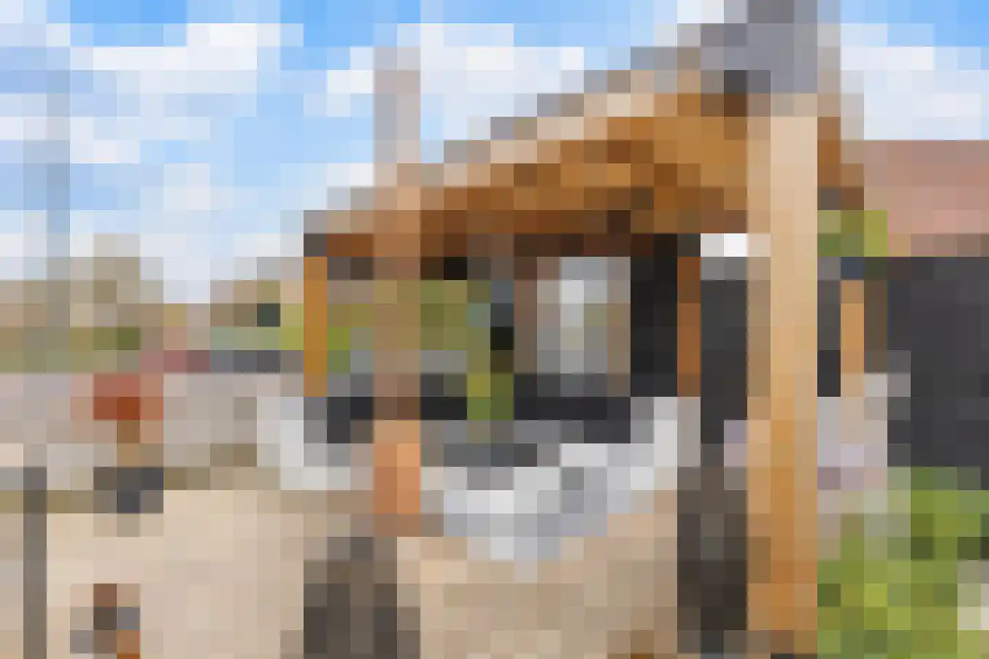 Zonzijde 6 Assendelft thumbnail 10