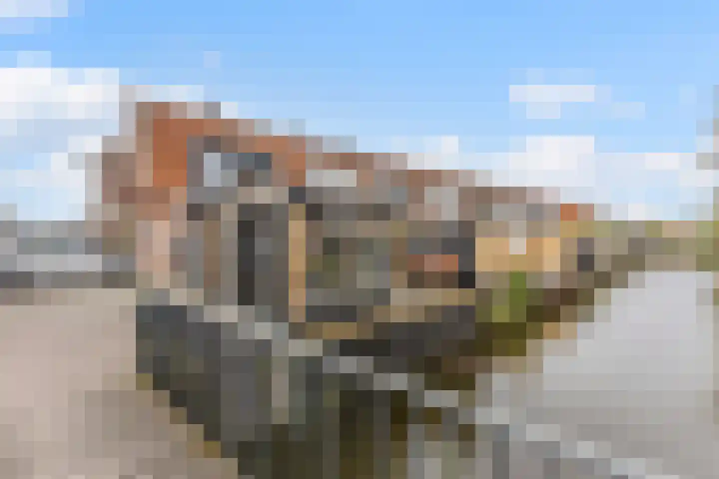 Zonzijde 6 Assendelft thumbnail 17