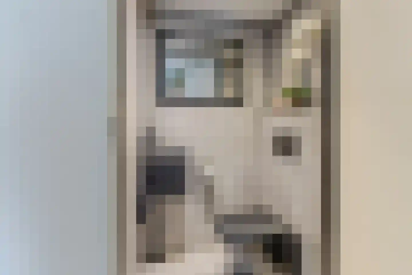Zonzijde 6 Assendelft thumbnail 19