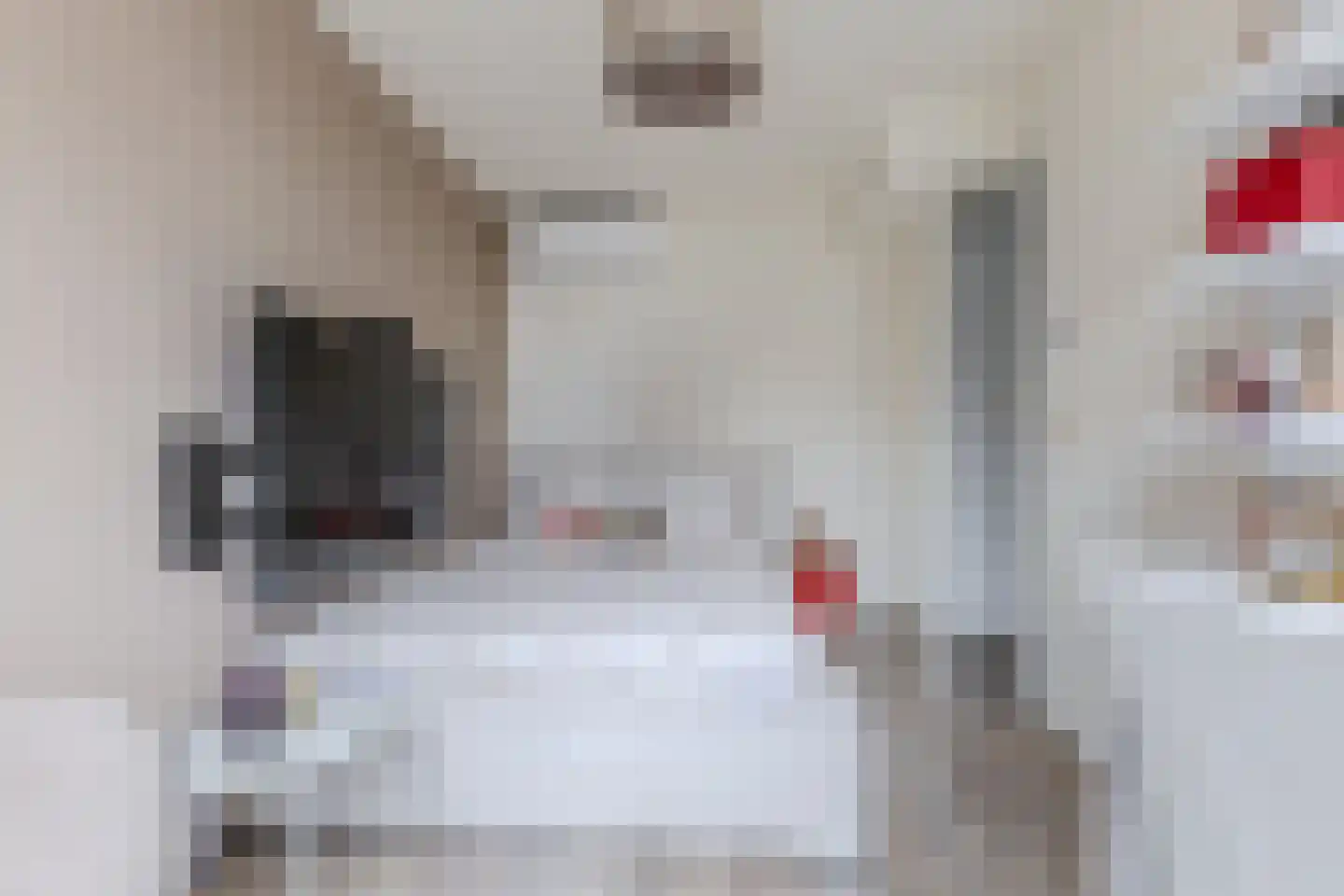 Zonzijde 6 Assendelft thumbnail 22